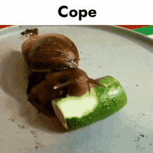 two snails are eating a cucumber on a plate .