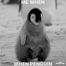 Penguin Penguinsarecool_ GIF - Penguin Penguinsarecool_ GIFs