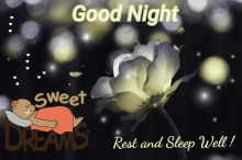 Sweet Dreams GIF - Sweet Dreams Sleep GIFs