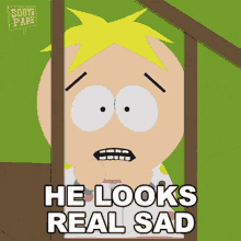 He Looks Real Sad Butters Stotch GIF - He Looks Real Sad Butters Stotch South Park GIFs