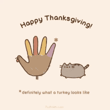 thanksgiving pusheen turkey hand drawing