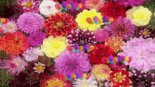 Flowers Colorful GIF - Flowers Colorful Raining GIFs