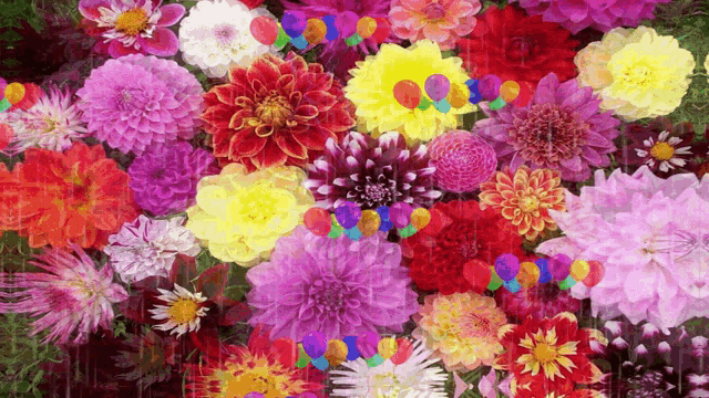 Flowers Colorful GIF - Flowers Colorful Raining - Discover & Share GIFs