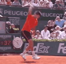 Novak Djokovic Racquet Throw GIF