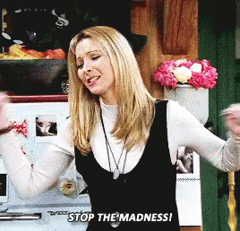 Lisa Kudrow Stop The Madness GIF - Lisa Kudrow Stop The Madness Friends GIFs