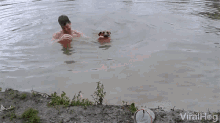 Rescue Dog Pulls Human Out Of Water GIF