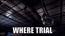 Where Trial Doctor Who GIF - Where Trial Doctor Who David Tennant GIFs