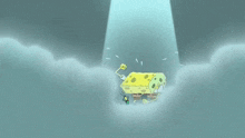 Scallop Spongebob GIF - Scallop Spongebob Meme GIFs