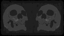 Skulls GIF