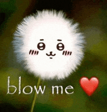 a dandelion with a face on it and the words `` blow me '' written on it .