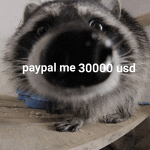 Bglamours Paypal Me 30000 Usd GIF