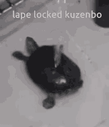 Kuzenbo Lape GIF - Kuzenbo Lape Smite GIFs