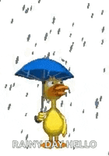 Duck Rainy Day GIF