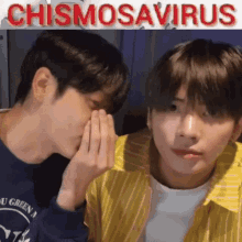chismosavirus txt flowpop