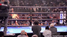 Boxing Rolly GIF - Boxing Rolly Romero GIFs
