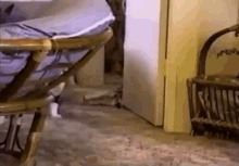 Cat Takes Charge Pull Hair GIF