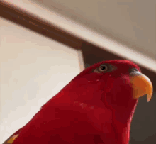 Sus Bird Meme GIF - Sus Bird Meme Wuewuewue Bird GIFs