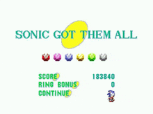 sonic the hedgehog got them all in sonic the hedgehog