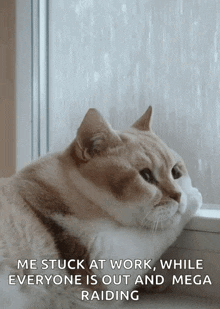 Cat Mood GIF - Cat Mood Lazy GIFs