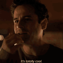 Its Totally Cool Dylan GIF - Its Totally Cool Dylan The Twilight Zone GIFs