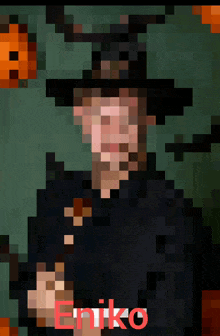 a pixelated image of a man in a witch costume and the name niko