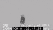a black and white image of a cartoon character with the words property of udfa at the bottom .