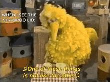 Bigbird One Of These Things Is Not Like The Others GIF - Bigbird One Of These Things Is Not Like The Others GIFs