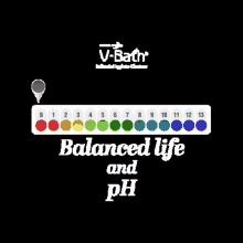 Balanced Life Vbath GIF - Balanced Life Vbath Balance GIFs