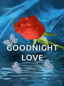 Goodnight Love Flowers GIF - Goodnight Love Flowers Water GIFs