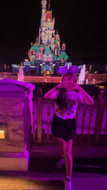 Disneyland Disney Princess GIF