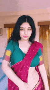 Navel Sexy Saree GIF - Navel Sexy Saree Milf GIFs