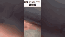 Newpinchy01upload GIF - Newpinchy01upload New Pinchy01 GIFs