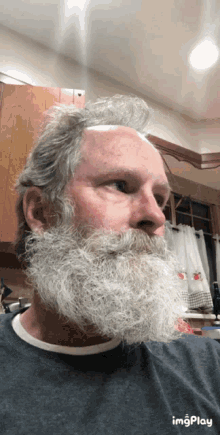 Bearded Lady Filter GIF