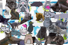 Cat Kitties GIF - Cat Kitties Pop Culture GIFs
