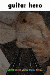 a picture of a person holding a rabbit next to a guitar with the word guitar hero on it