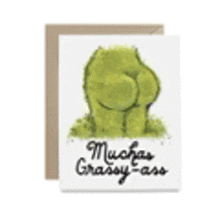a greeting card with a picture of a frog 's butt and the words `` muchas grassy ass ''