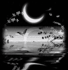 Tbhss Bonne Nuit Lune Mer GIF