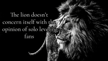a black and white photo of a lion with a quote about solo leveling