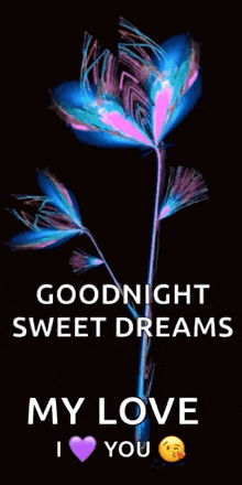 Sweet Dreams Good Night GIF - Sweet Dreams Good Night Flowers GIFs