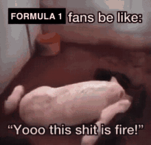 F1 Formula1 GIF - F1 Formula1 Meme GIFs