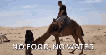 Sahara Desert Camel GIF - Sahara Desert Camel Fall GIFs
