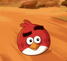 Angry Bird Red GIF - Angry Bird Red Angry Birds Toons GIFs