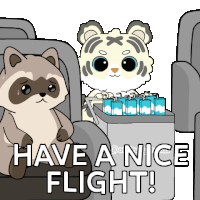 a raccoon and a tiger on a plane with the words have a nice flight written below them