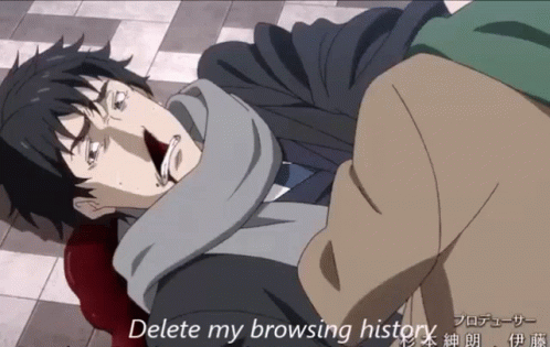 delete my browser hisoty