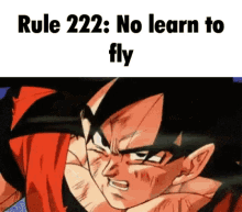 Rule Goku GIF - Rule Goku Learn To Fly GIFs