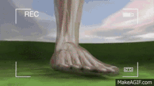 Ankle Sprain GIF - Ankle Sprain GIFs