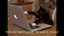Typing Cat GIF - Typing Cat GIFs