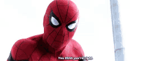 Spiderman You Think Youre Right GIF - Spiderman You Think Youre Right Civil War GIFs