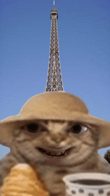 Cat Meme Road Trip GIF