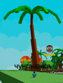 a cartoon drawing of a palm tree with the word coconut in the bottom right corner